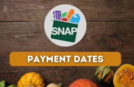SNAP Benefits Payment Schedule for April 2024 Find Out When Food Stamps Will Be Paid in Your State, SNAP Benefits In September 2026