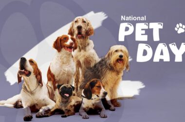 National Pet Care for All Day 2024 (US) Activities, History, FAQs, and Dates