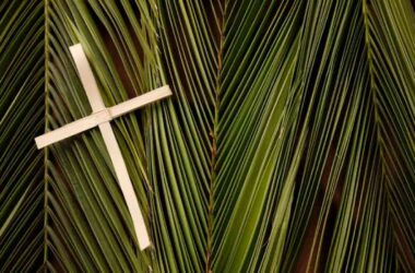 Palm Sunday Orthodox 2024 (US) Activities, History, FAQs, Dates, and Facts About Palm Sunday Orthodox