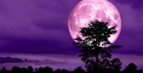 Rare Pink Moon to Illuminate the Sky in April 2024 Unveiling the Mystery Behind its Color