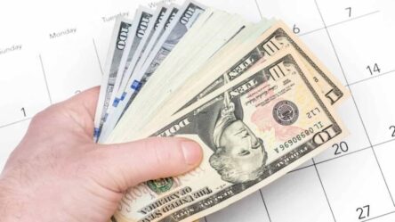 $1400 Payment Rollout and Eligibility Criteria, Social Security Benefits Increase, Social Security Benefits Qualification, $233 Indemnity Payments , Social Security During Government Shutdown, IRS Free File System