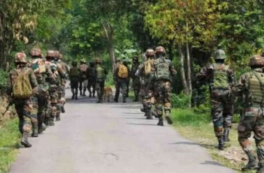 12 Naxalites killed