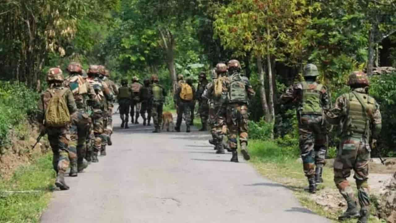 12 Naxalites killed