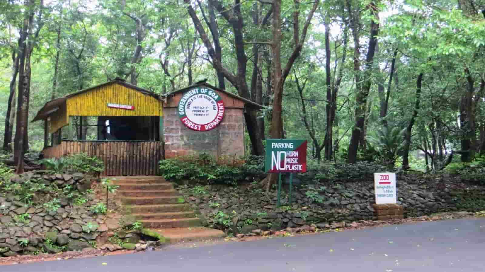 Viral outbreak claims lives of animals, Goa’s Bondla zoo temporarily shut to safeguard wildlife