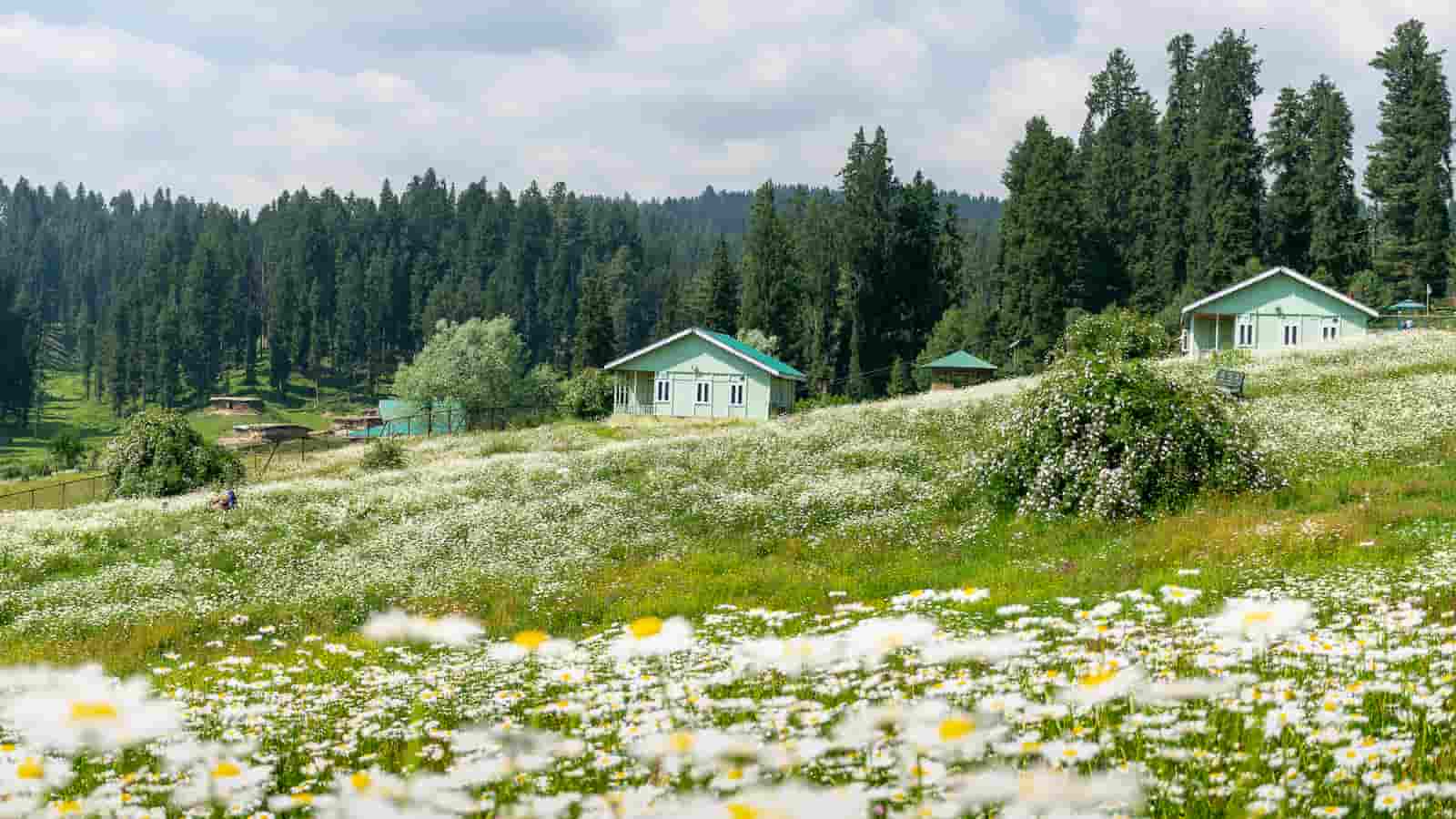Yousmarg to Get Major Tourism Boost as J&K Plans ‘Next Gulmarg’