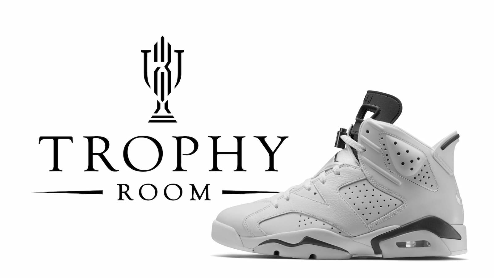 Air Jordan 6 Trophy Room