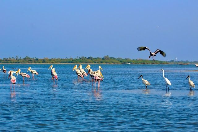 Republic Day Long Weekend Travel