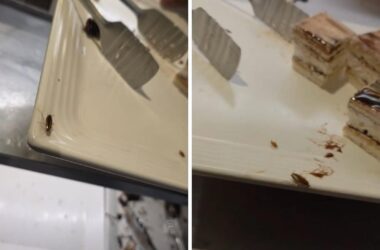 Cockroach On Dessert Plate At Barbeque Nation