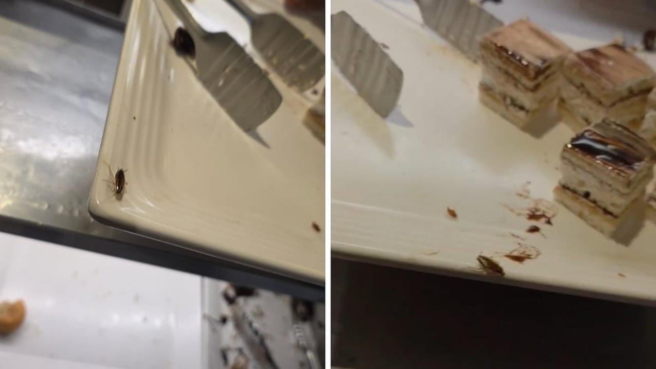 Cockroach On Dessert Plate At Barbeque Nation