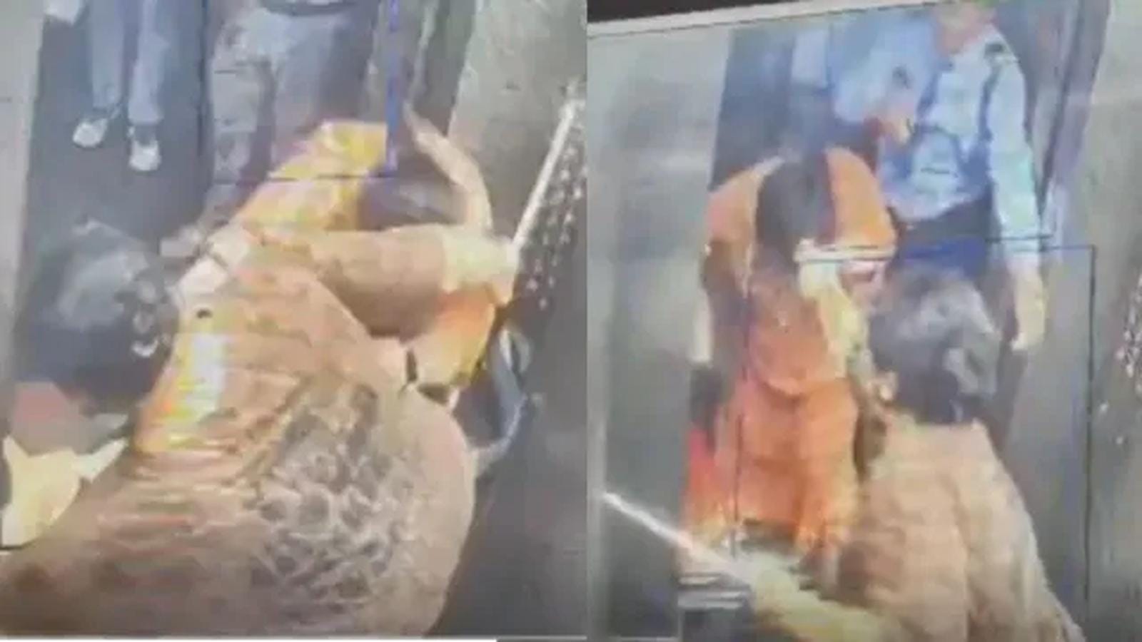 Dog in Lift Sparks Fight in Ghaziabad