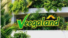 Veegaland Developers IPO Allotment Status 2026