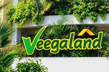 Veegaland Developers IPO Allotment Status 2026