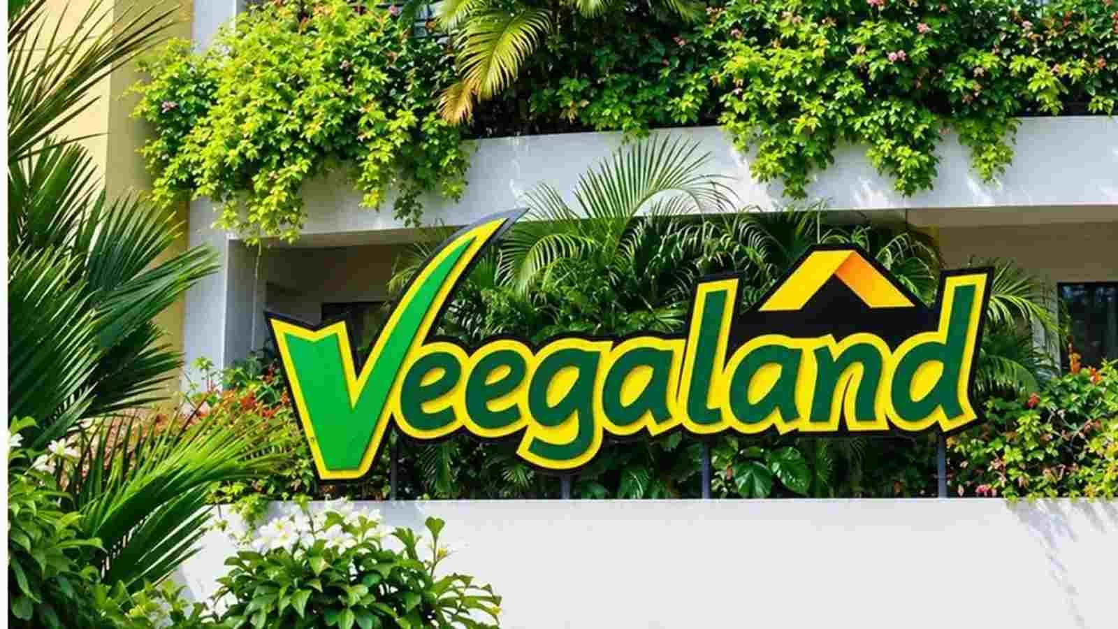Veegaland Developers IPO Allotment Status 2026