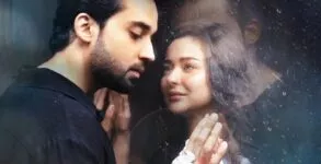 Why Meri Zindagi Hai Tu Episode 31,